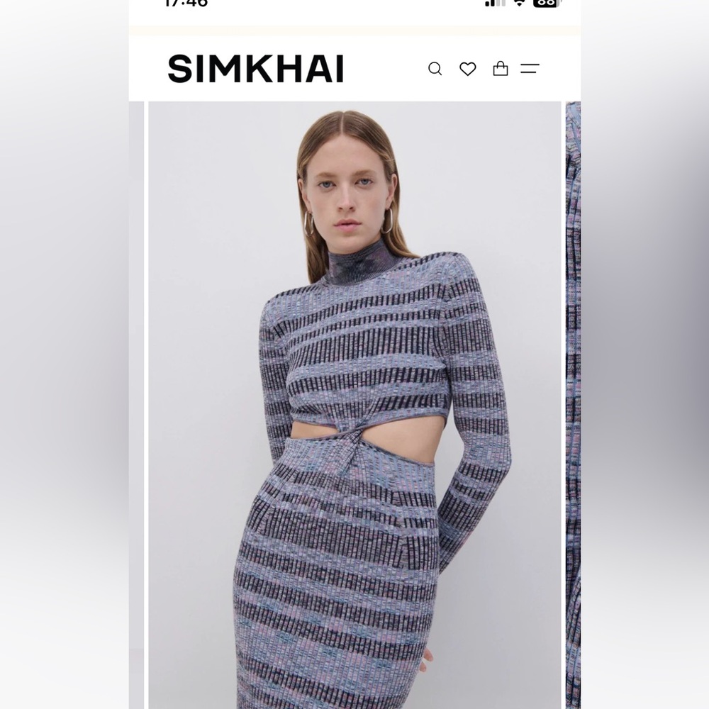 Designer dress
